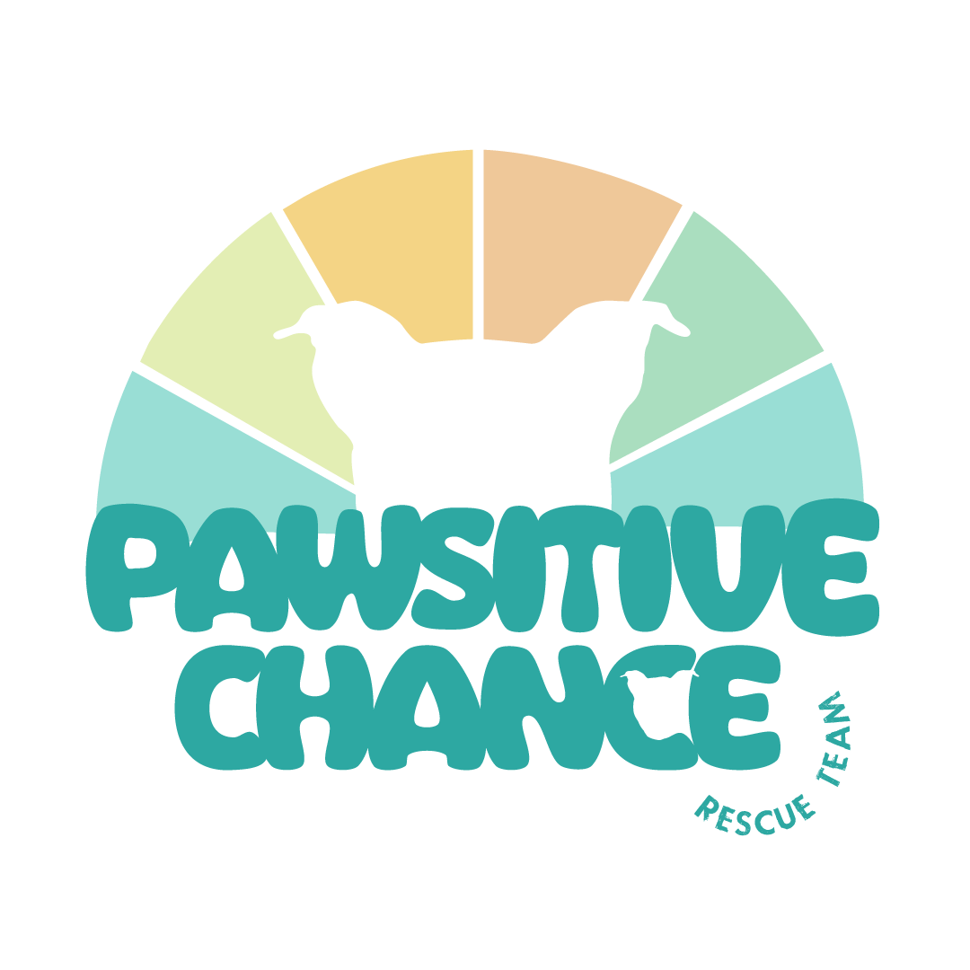 Pawsitive Chance Rescue Team